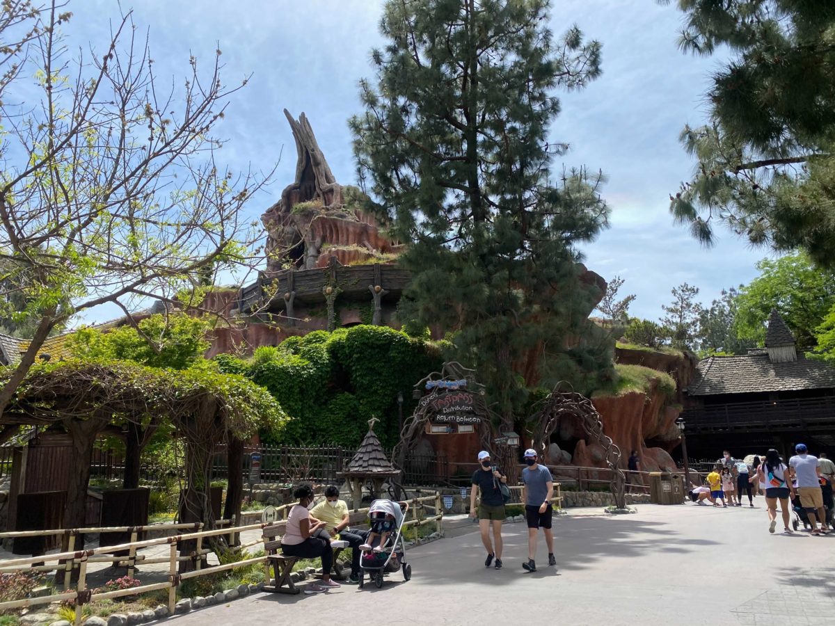 Splash-Mountain-Disneyland-Reopening