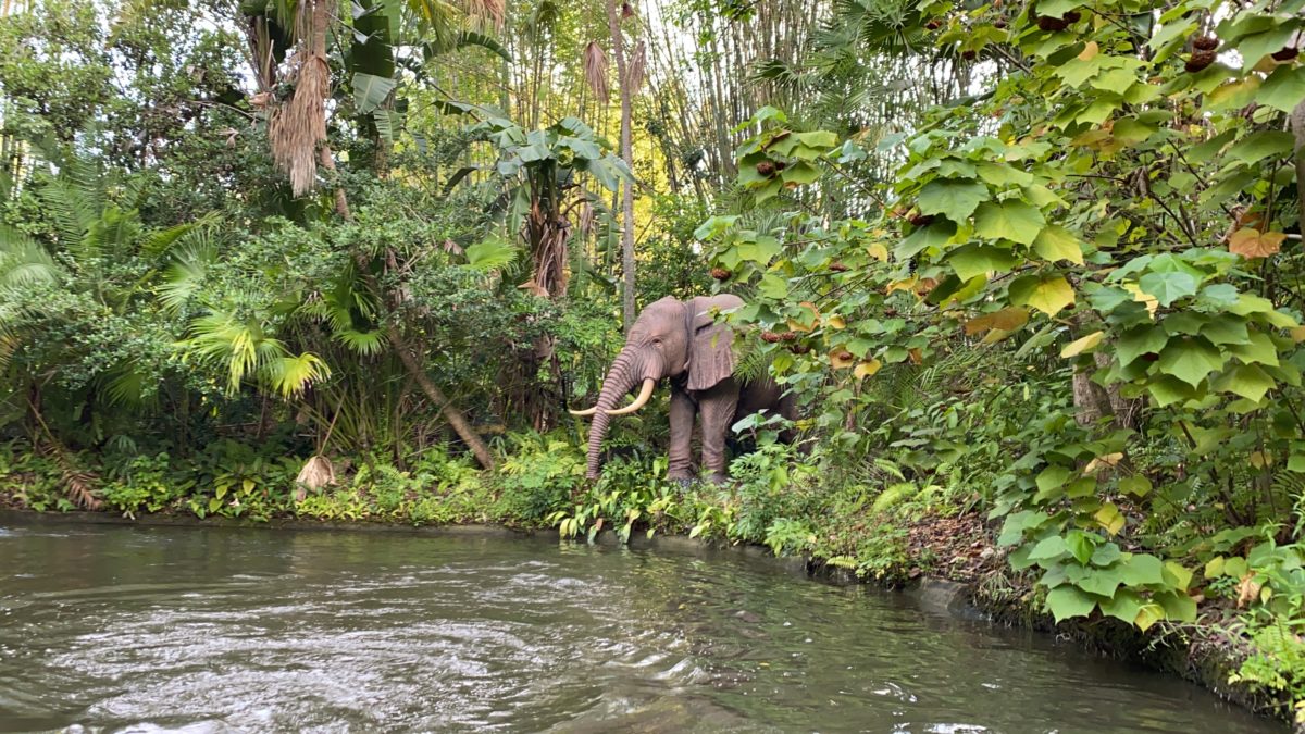 jungle-cruise-first-african-elephant-not-working-magic-kingdom-05032021