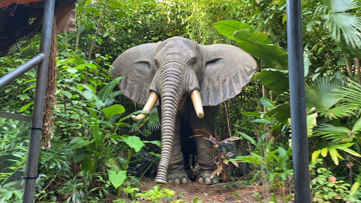 jungle-cruise-second-african-elephant-not-working-magic-kingdom-05032021