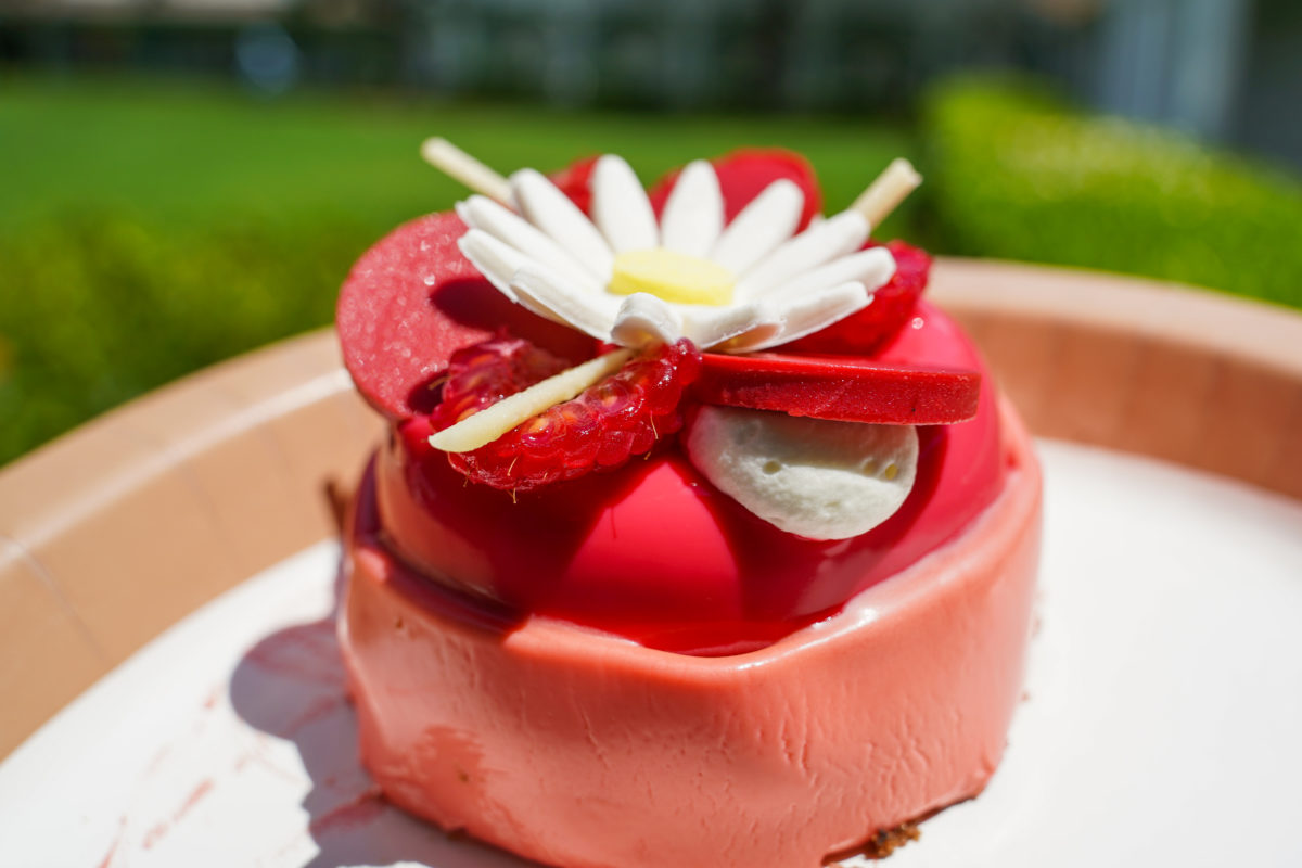 mothers-day-raspberry-cake-5-2-21-5919059