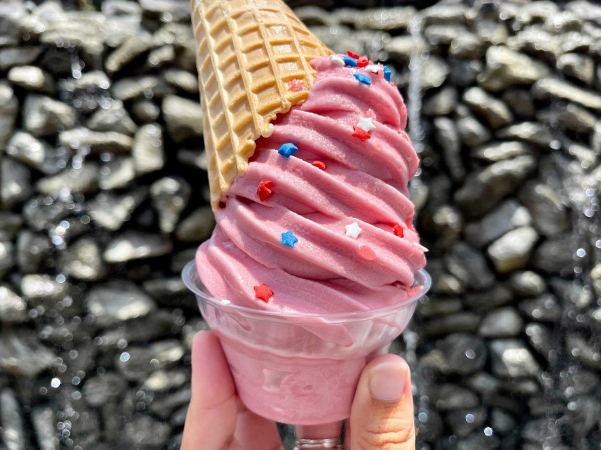 REVIEW: New Raspberry Dole Whip 