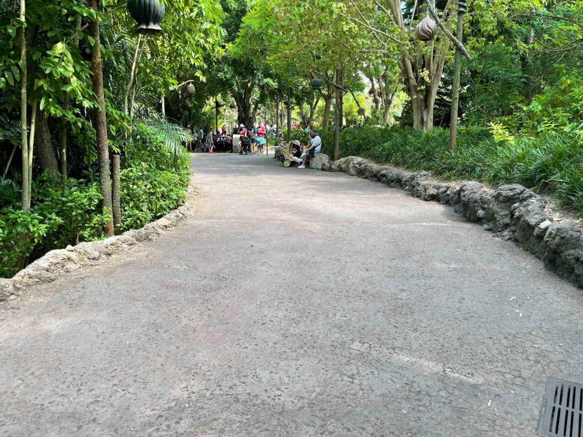 Physical distancing markers have been removed from the extended queue area of Avatar Flight of Passage inside Disney's Animal Kingdom at Walt Disney World