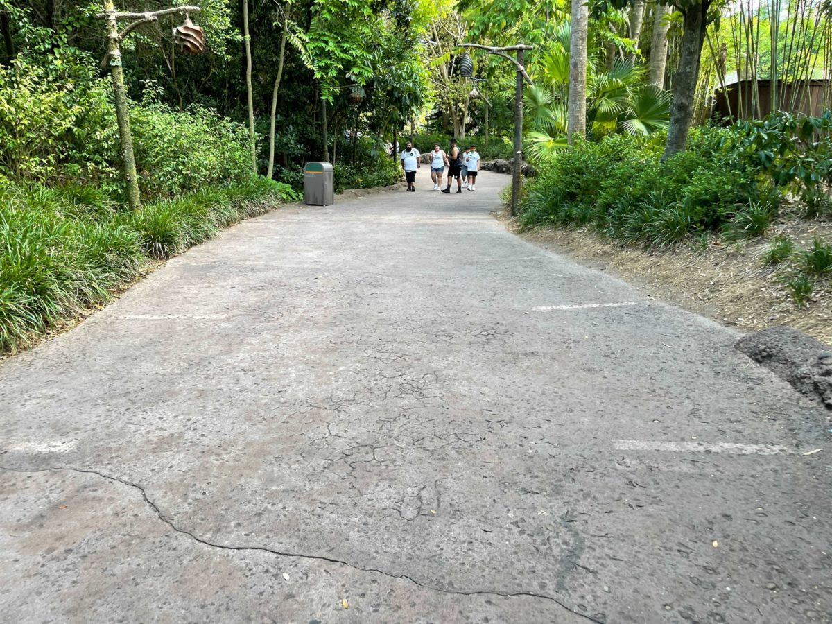 Physical distancing markers have been removed from the extended queue area of Avatar Flight of Passage inside Disney's Animal Kingdom at Walt Disney World