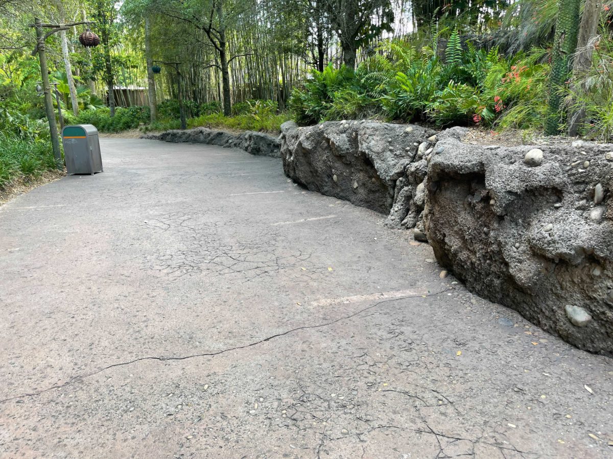 Physical distancing markers have been removed from the extended queue area of Avatar Flight of Passage inside Disney's Animal Kingdom at Walt Disney World