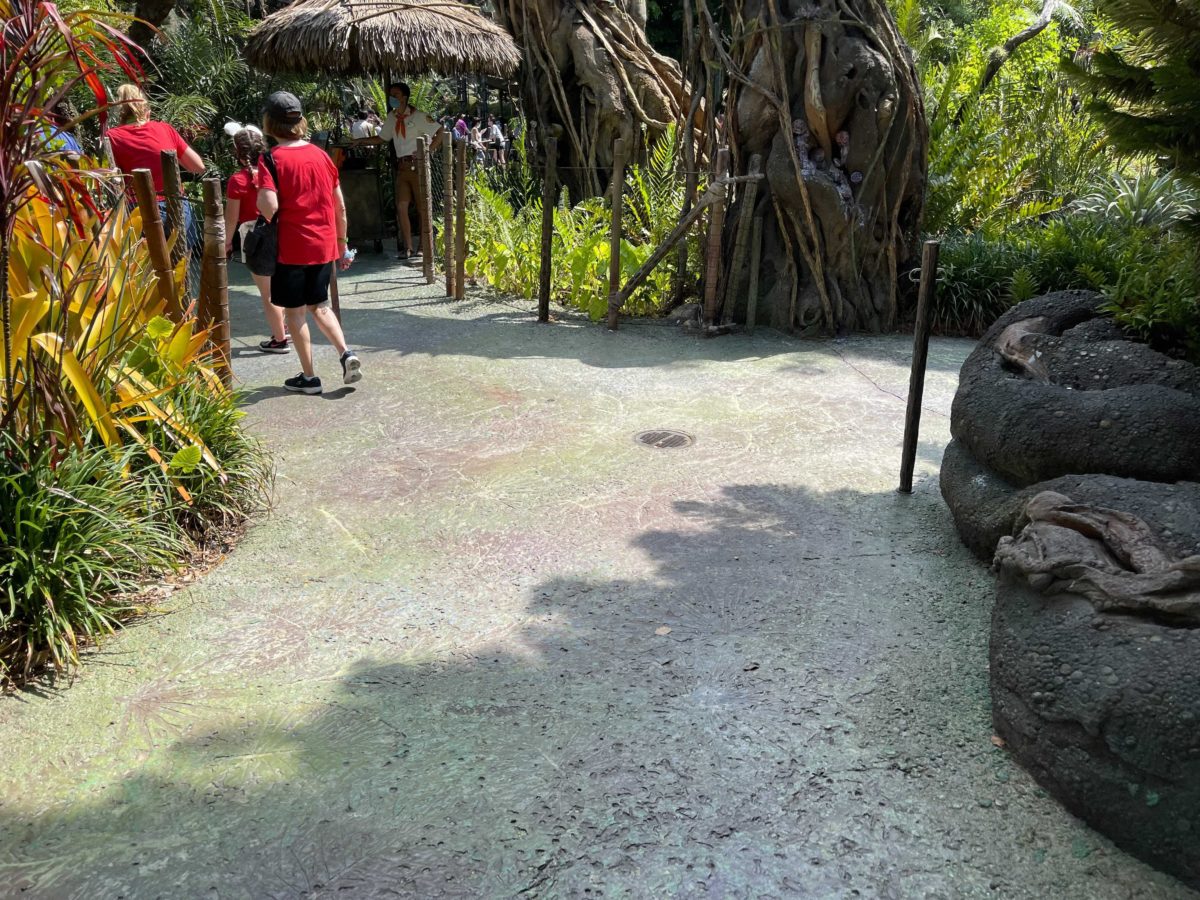 Physical distancing markers have been removed from the extended queue area of Avatar Flight of Passage inside Disney's Animal Kingdom at Walt Disney World