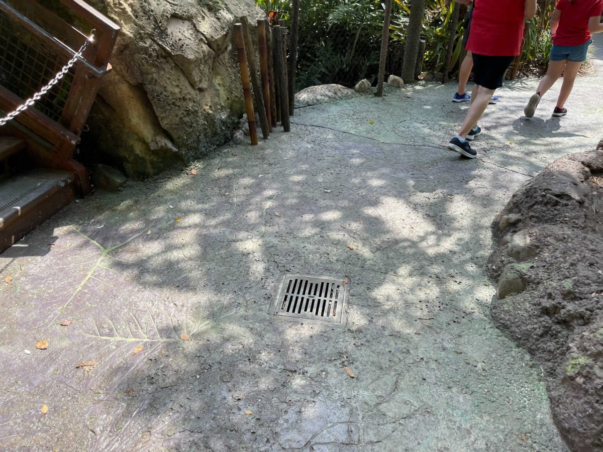 Physical distancing markers have been removed from the extended queue area of Avatar Flight of Passage inside Disney's Animal Kingdom at Walt Disney World