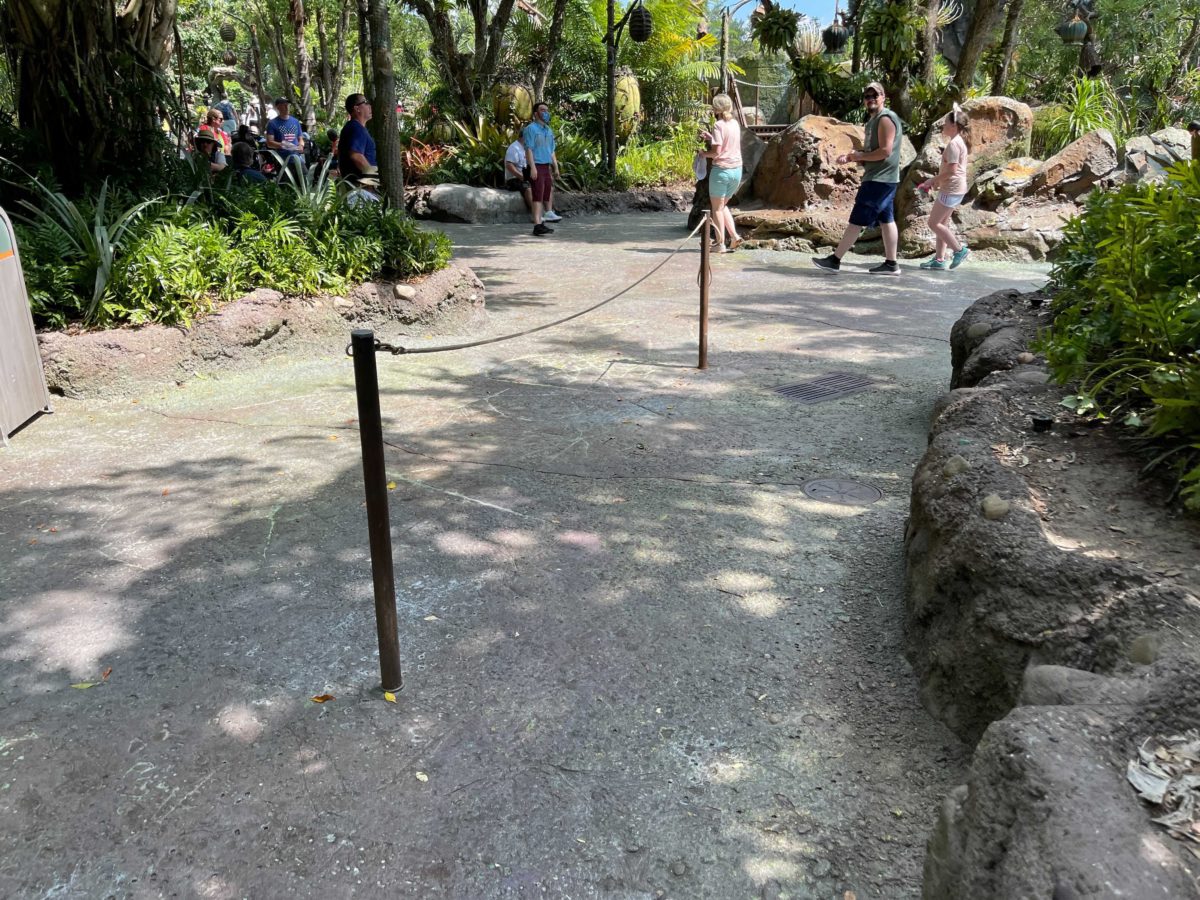 Physical distancing markers have been removed from the extended queue area of Avatar Flight of Passage inside Disney's Animal Kingdom at Walt Disney World