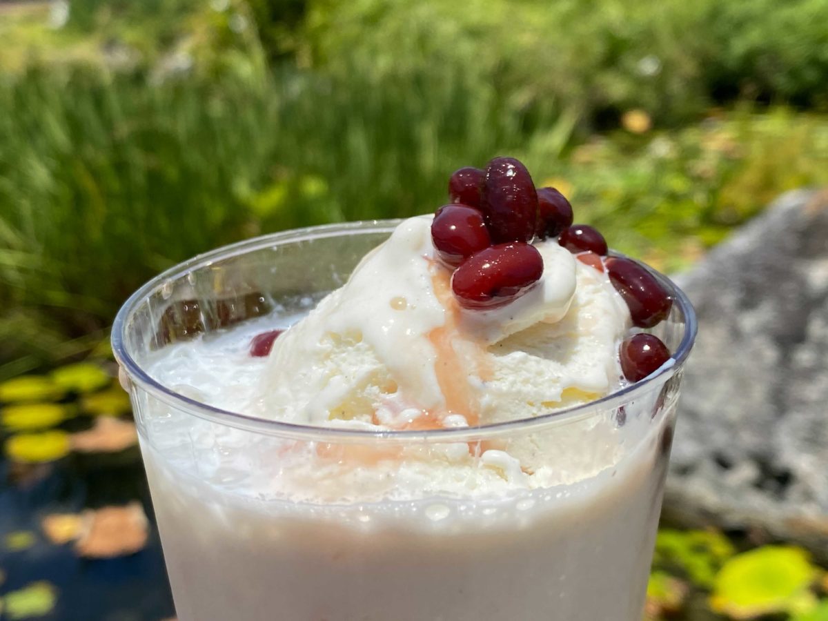 red-bean-ice-float-2