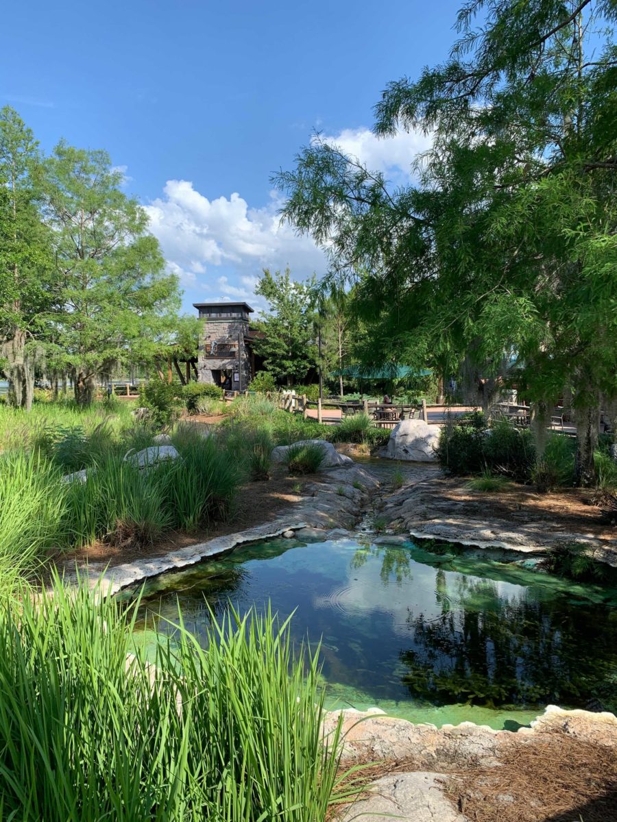 wilderness-lodge-geyser-trees-3