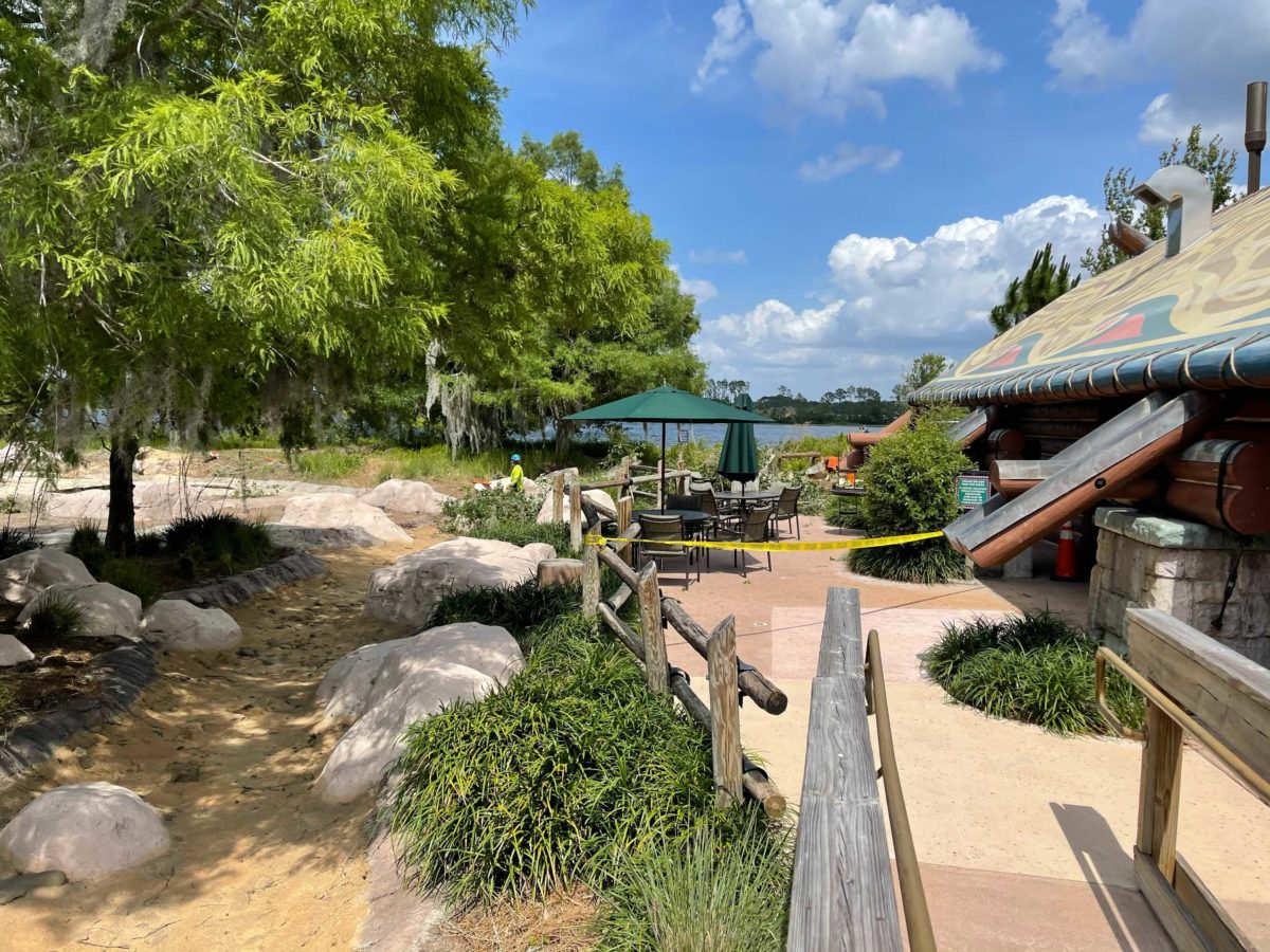 wilderness-lodge-tree-removal-10