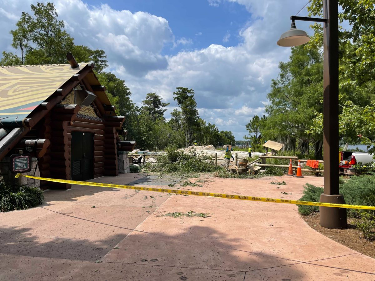 wilderness-lodge-tree-removal-16