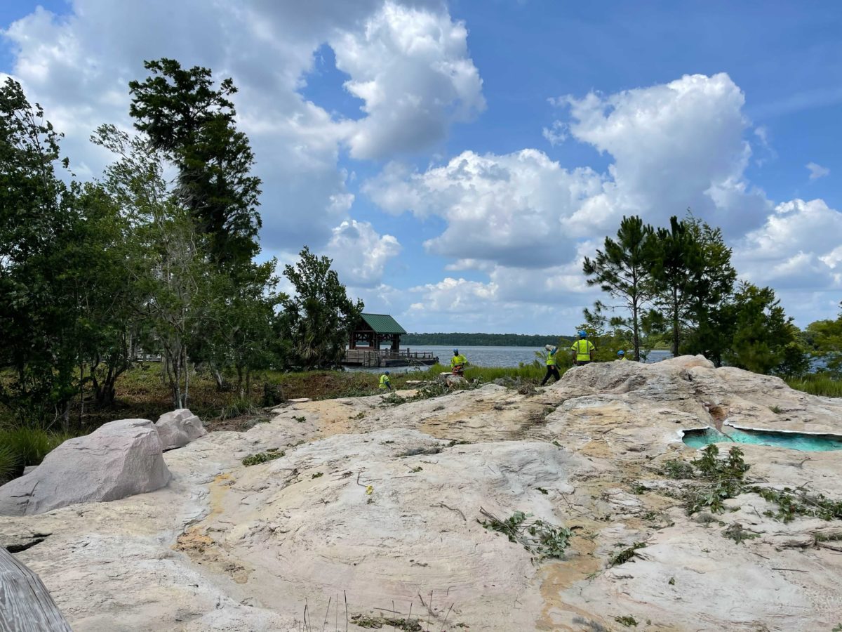 wilderness-lodge-tree-removal-2