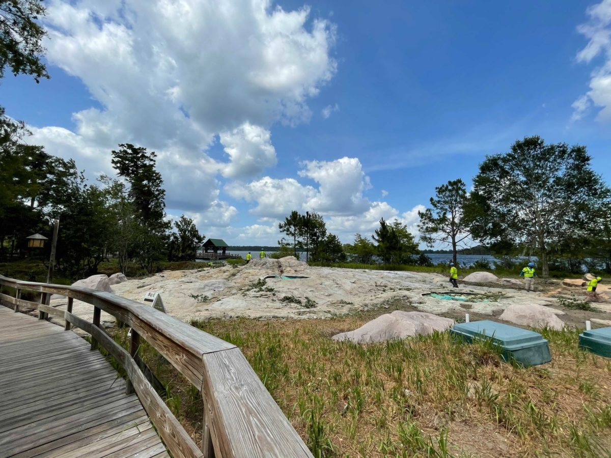 wilderness-lodge-tree-removal-9