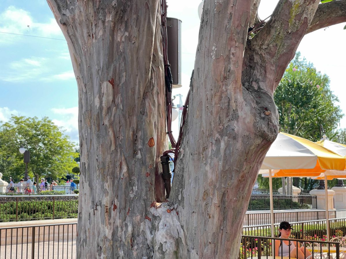 magic-kingdom-tree-lights-12