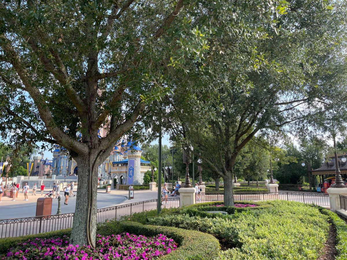 magic-kingdom-tree-lights-16