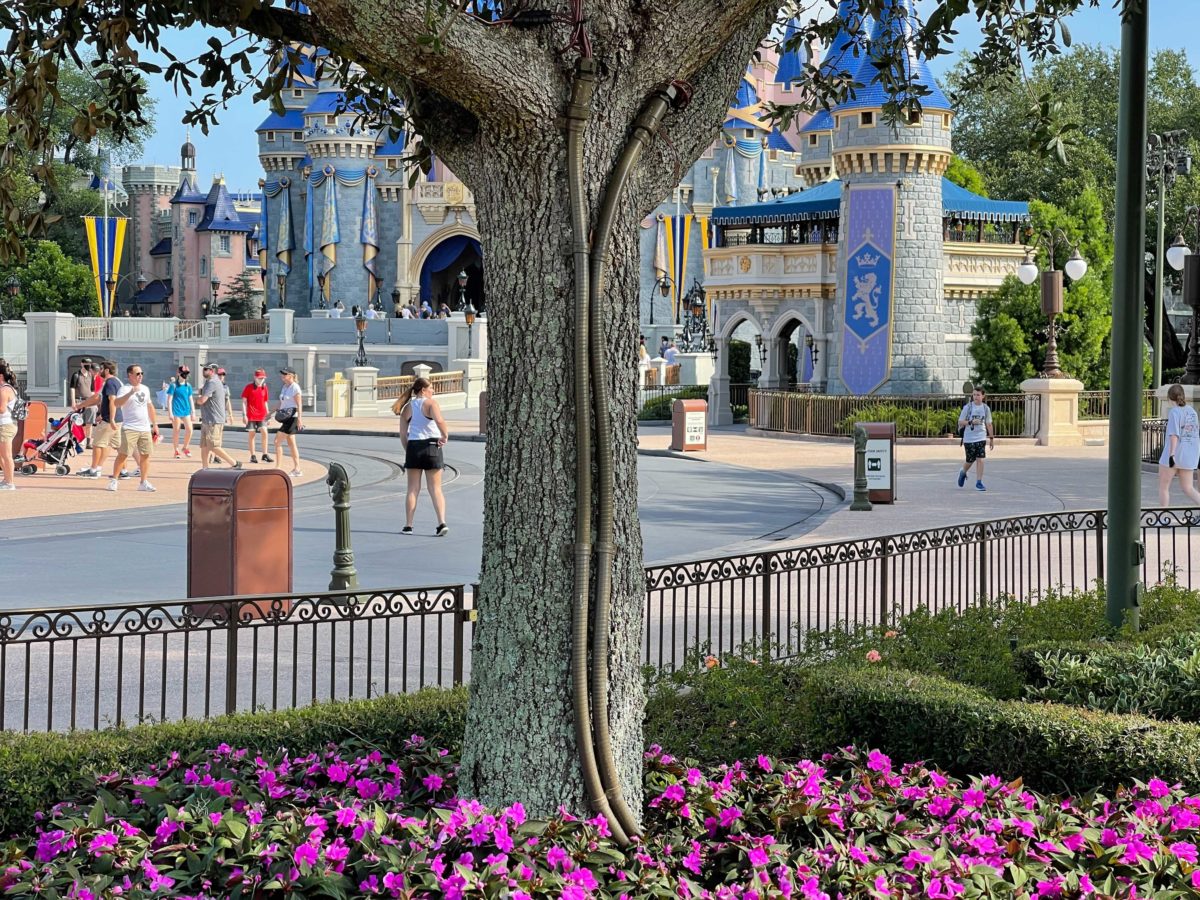 magic-kingdom-tree-lights-17