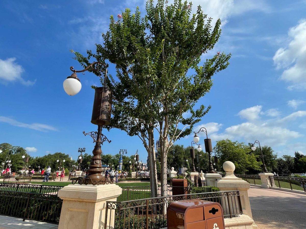 magic-kingdom-tree-lights-b-2