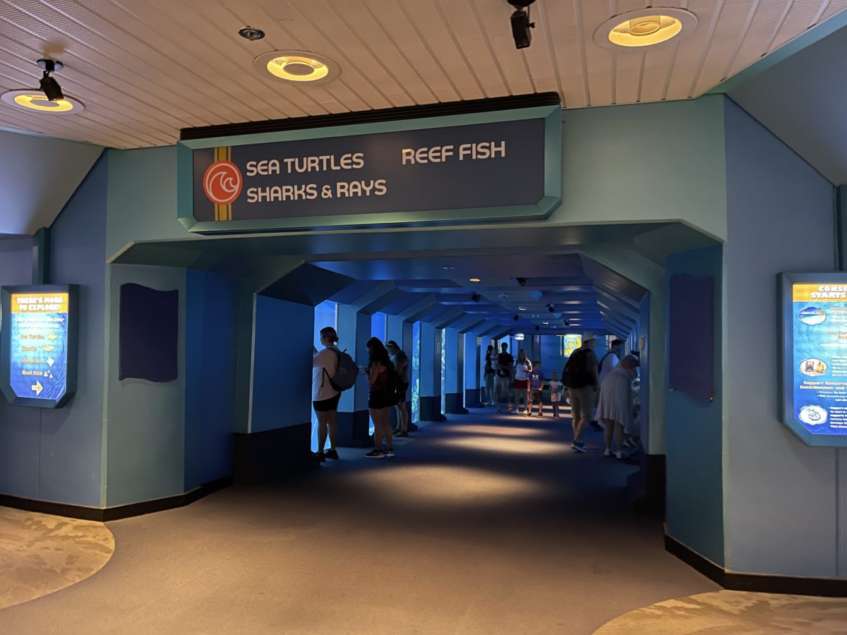 one-way-traffic-flow-removed-from-underwater-viewing-area-epcot-06172021