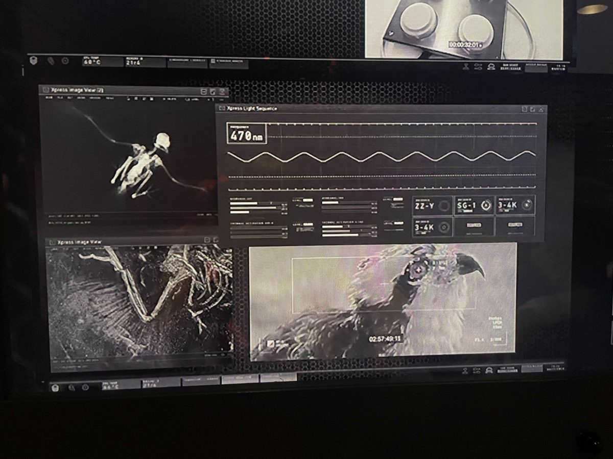 velocicoaster-preshow-video-20