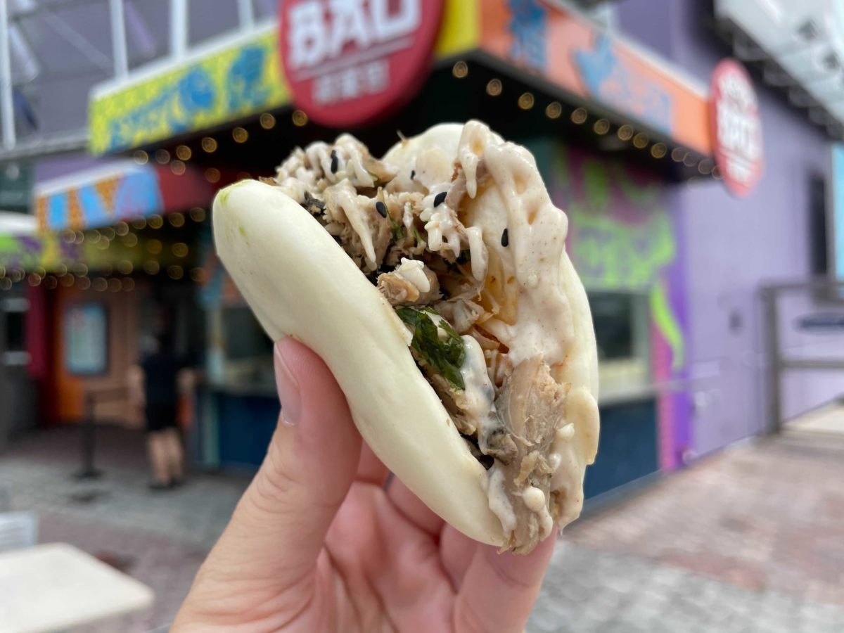 bend-the-bao-review31