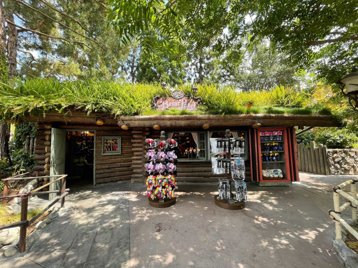 The Briar Patch at Disneyland