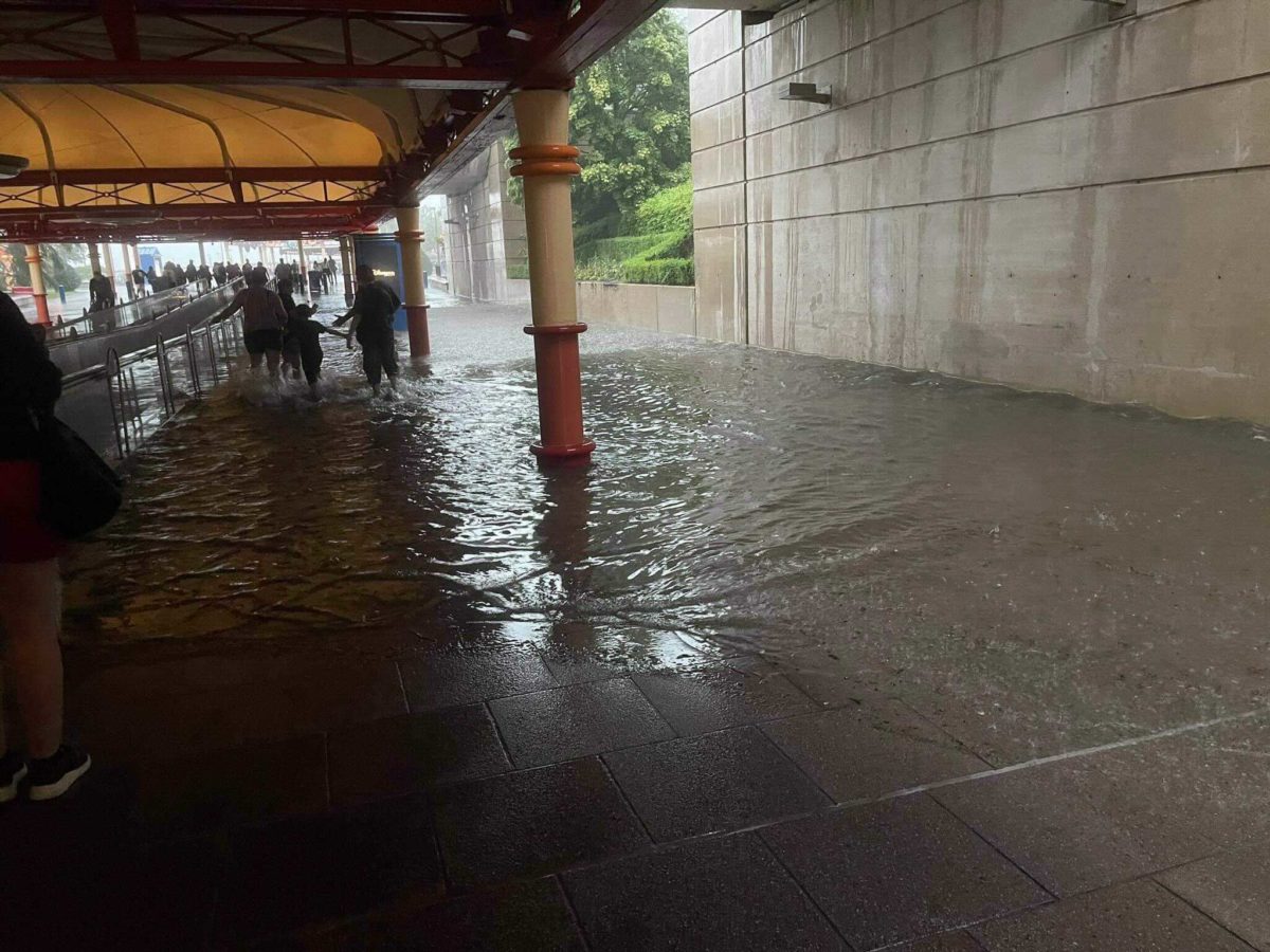 PHOTOS, VIDEO Heavy Rains Bring Flooding to Disneyland Paris, Closing