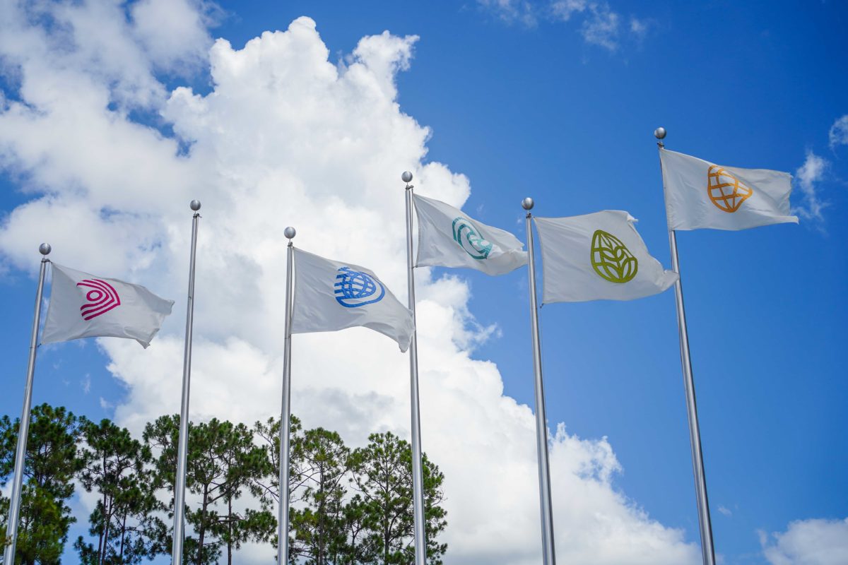 epcot-flag-missing-9259