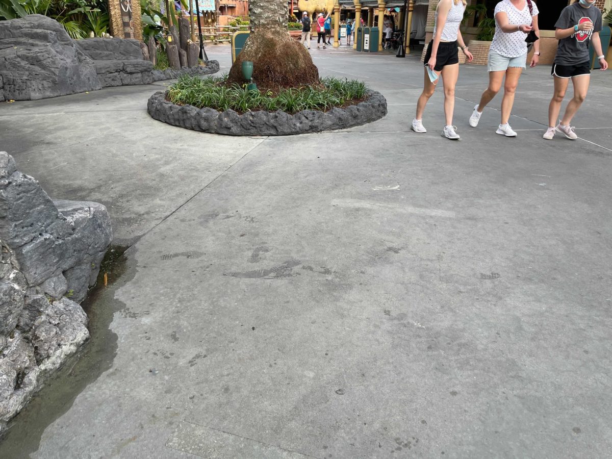 The Jungle Cruise at the Magic Kingdom has had its extended queue markings remove to minimize social distancing efforts at Walt Disney World