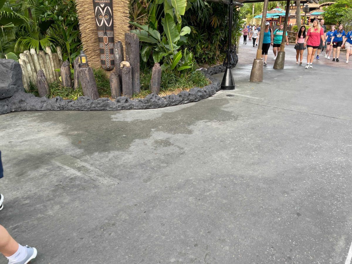 The Jungle Cruise at the Magic Kingdom has had its extended queue markings remove to minimize social distancing efforts at Walt Disney World