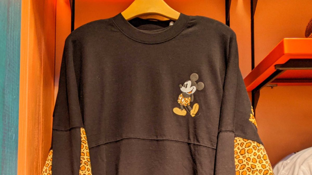 wdw spirit jersey