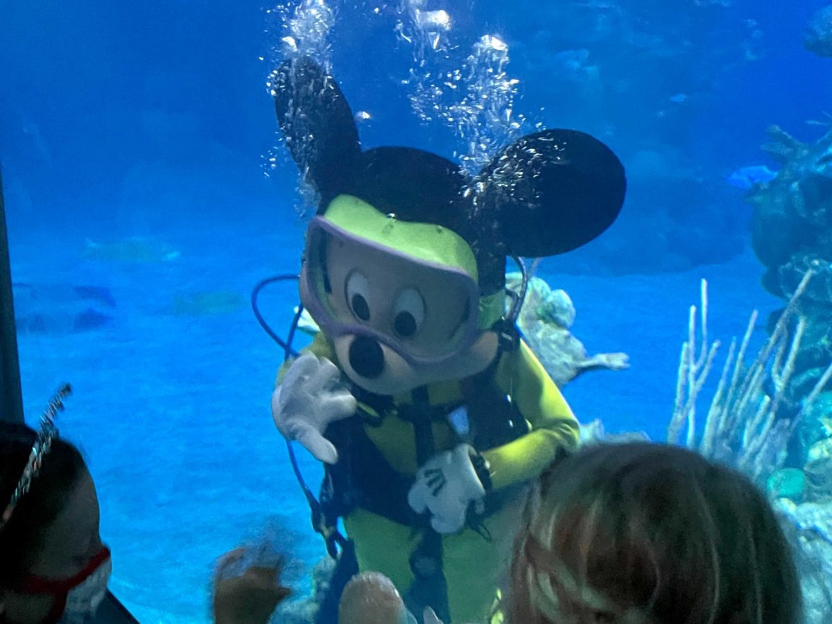 scuba-mickey-mouse-5