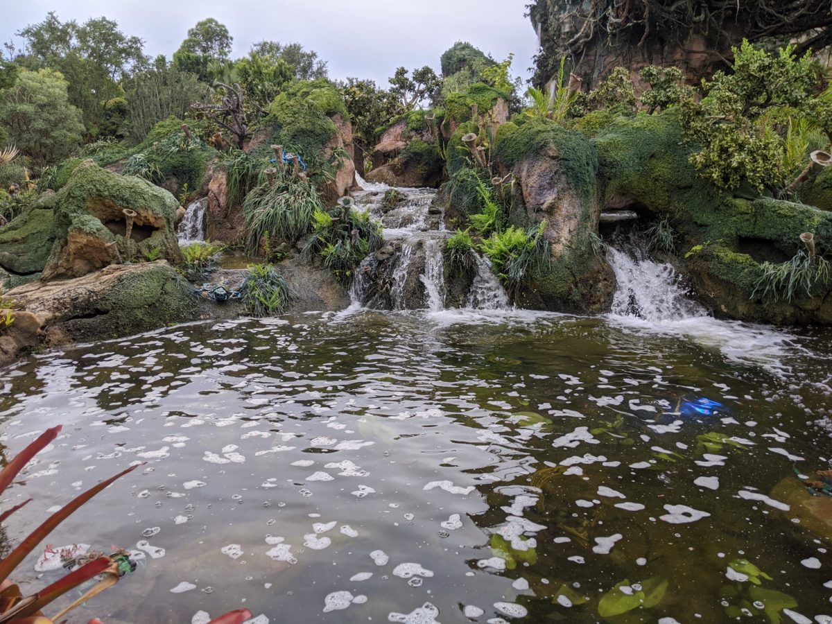 water-creature-pond-6621-6614193