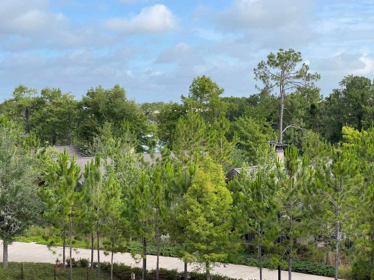 wilderness-lodge-new-rooms-67