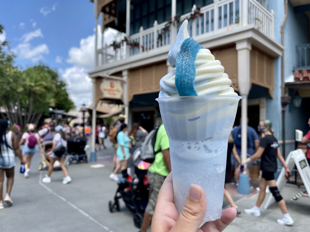 backside-of-water-float-magic-kingdom-07302021
