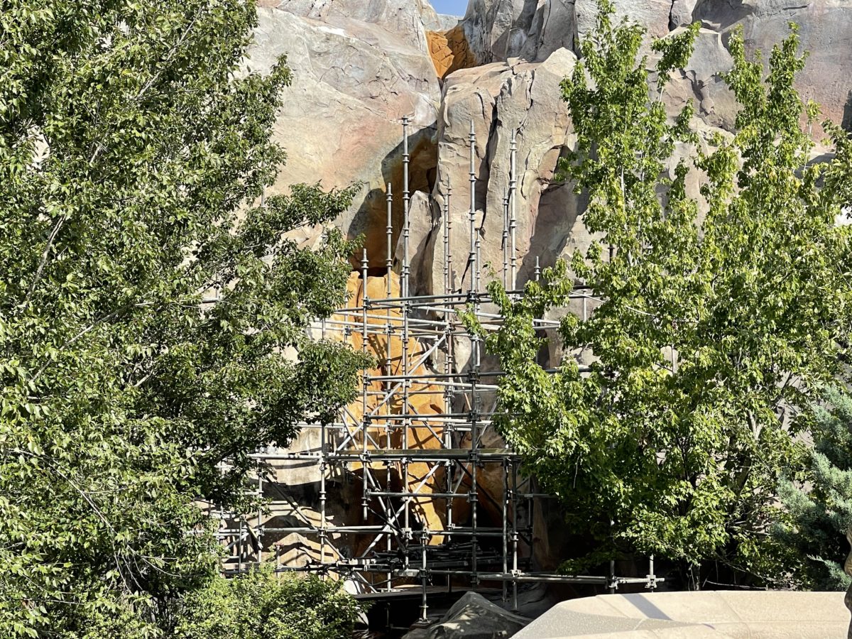 be-our-guest-facade-painting-scaffolding-magic-kingdom-07092021