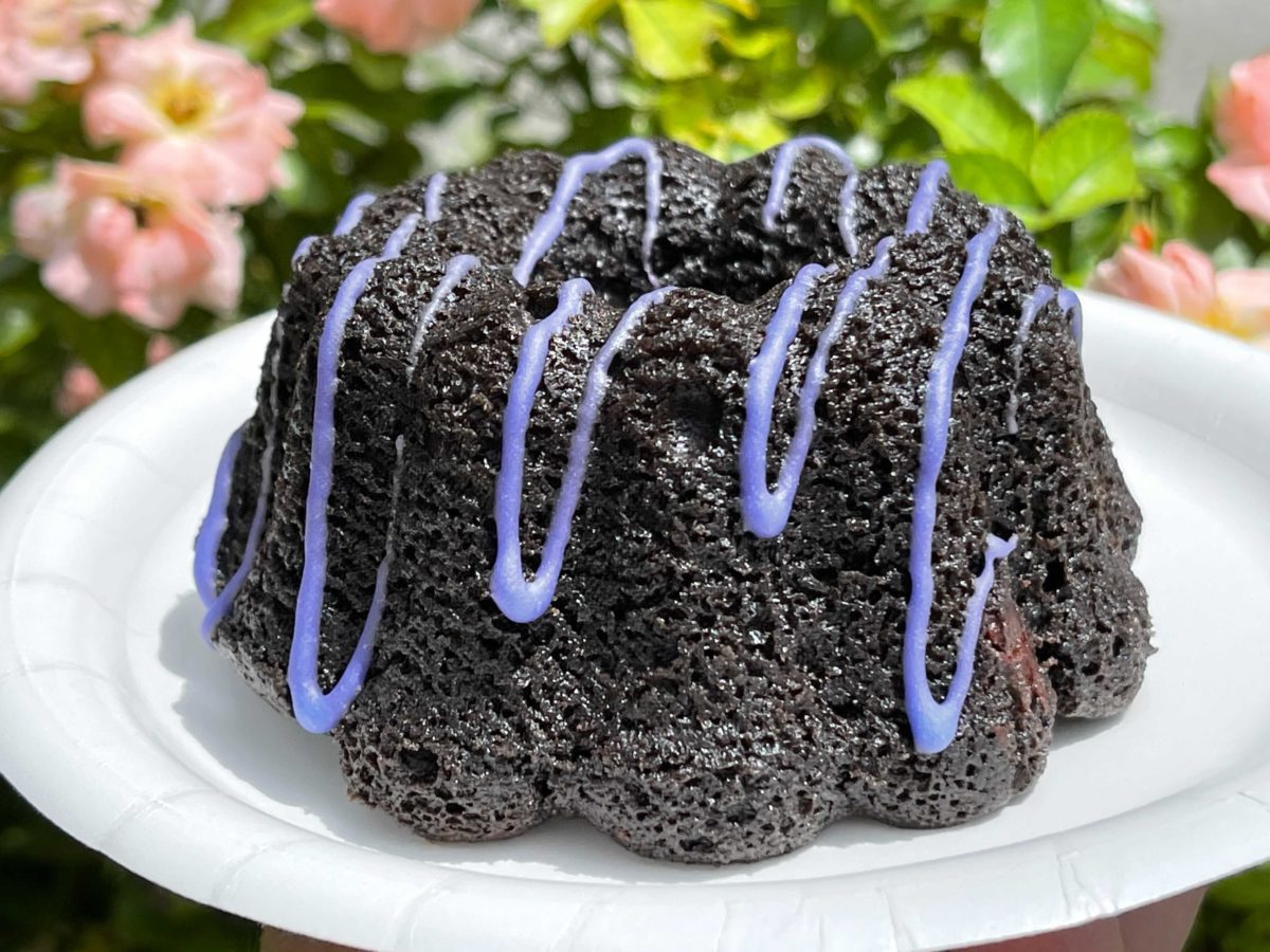 chocolatecake_cosmicrays_04