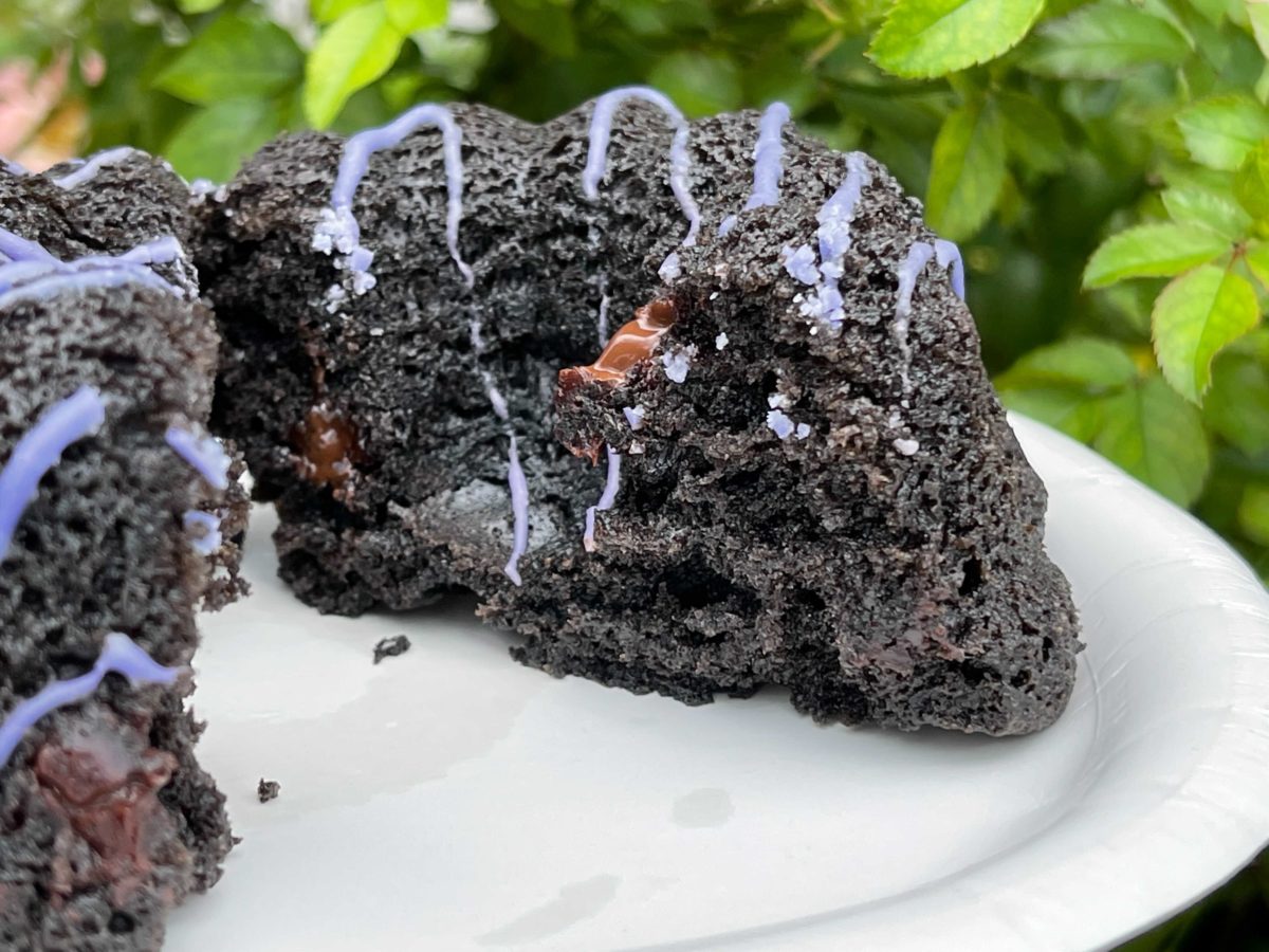 chocolatecake_cosmicrays_07
