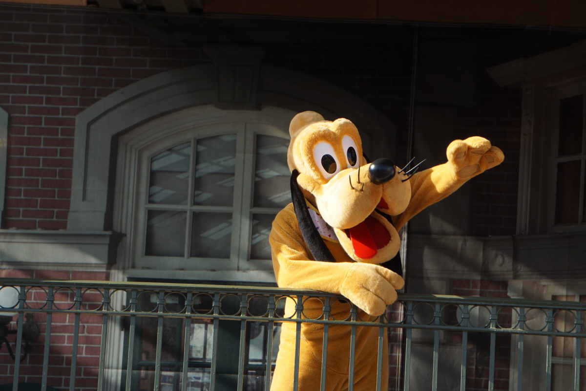 dsc04526-7232523