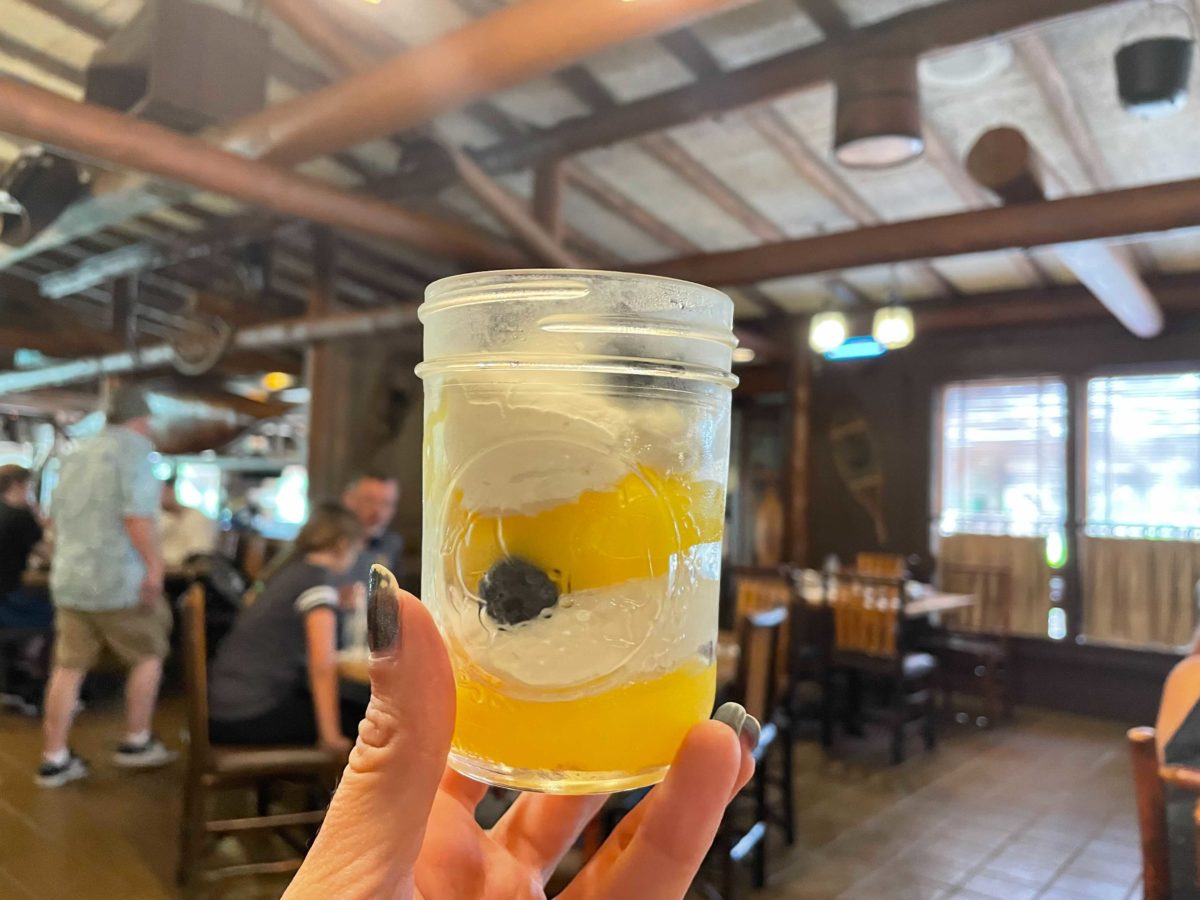 disneys-fort-wilderness-resort-and-campground-pioneer-hall-trails-end-restaurant-breakfast-plant-based-lemon-blueberry-trifle-1-2450147