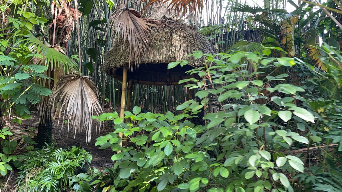 drumming-natives-removed-from-jungle-cruise-7-28-21-2