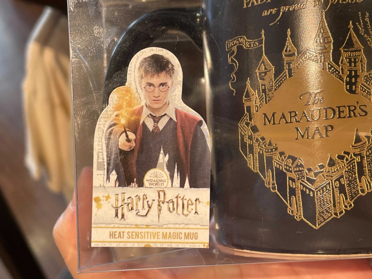 harry-potter-mug-7-21-21-7
