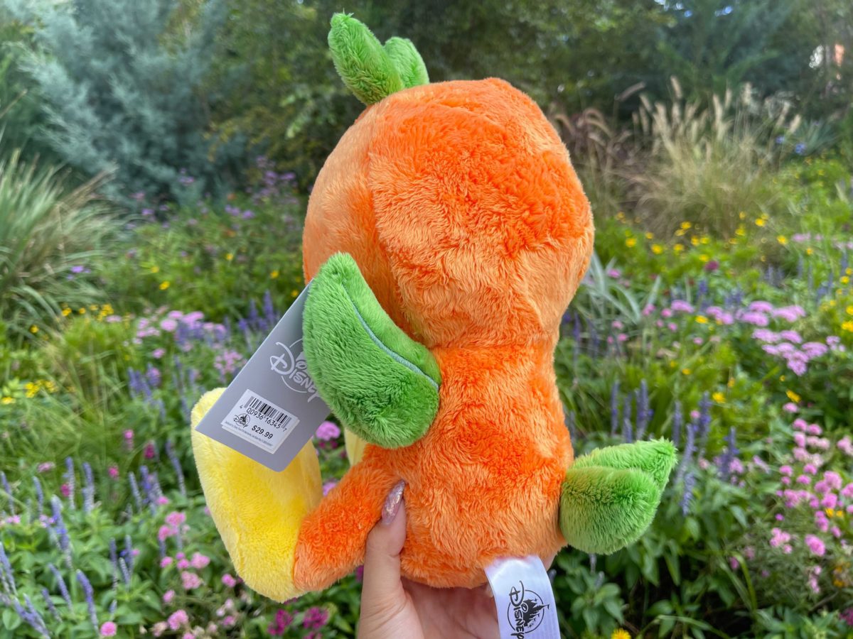 big-feet-orange-bird-1