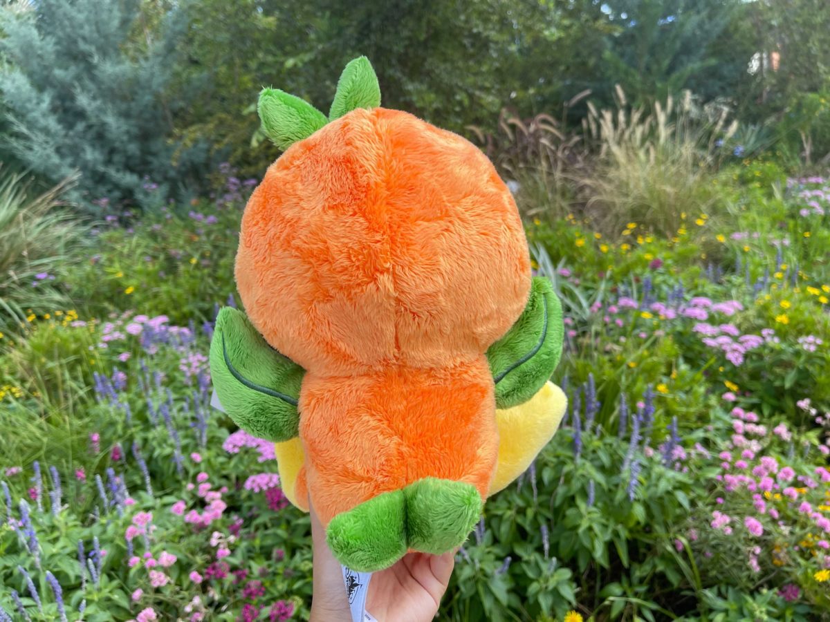 big-feet-orange-bird-2