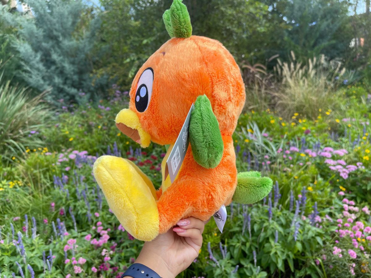 big-feet-orange-bird-3