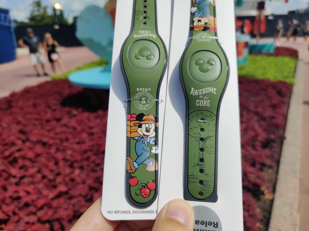 food-and-wine-magicbands-111551-3125804