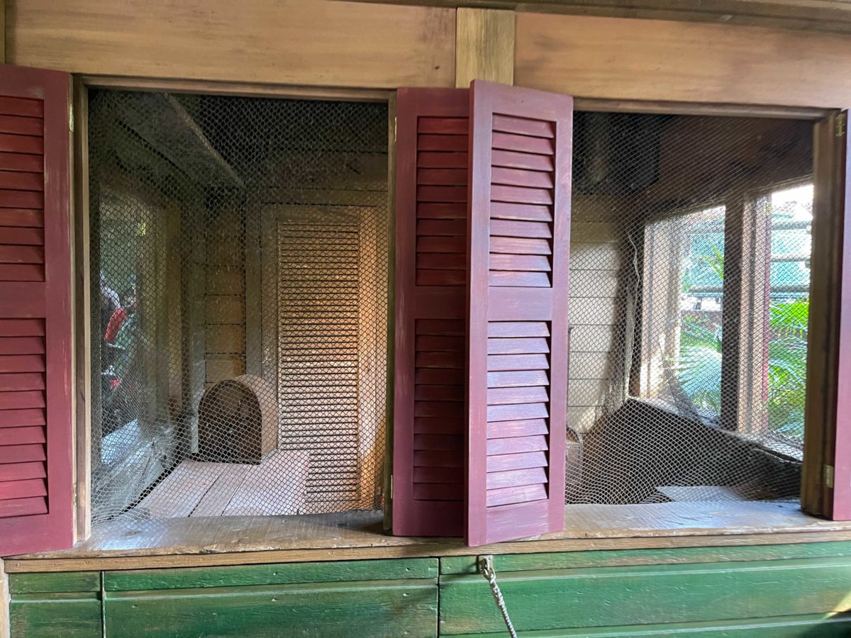 jungle-cruise-queue-office-1