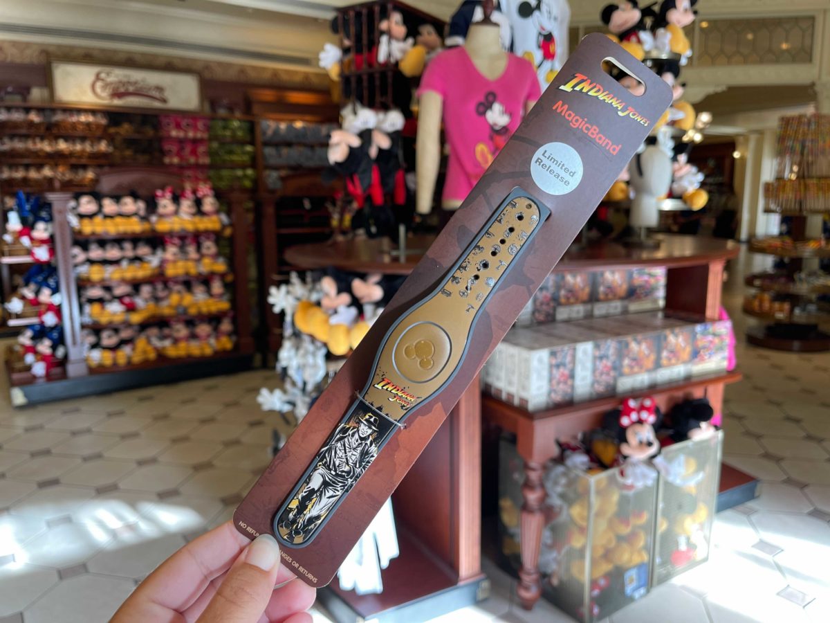 magicbands-2-2