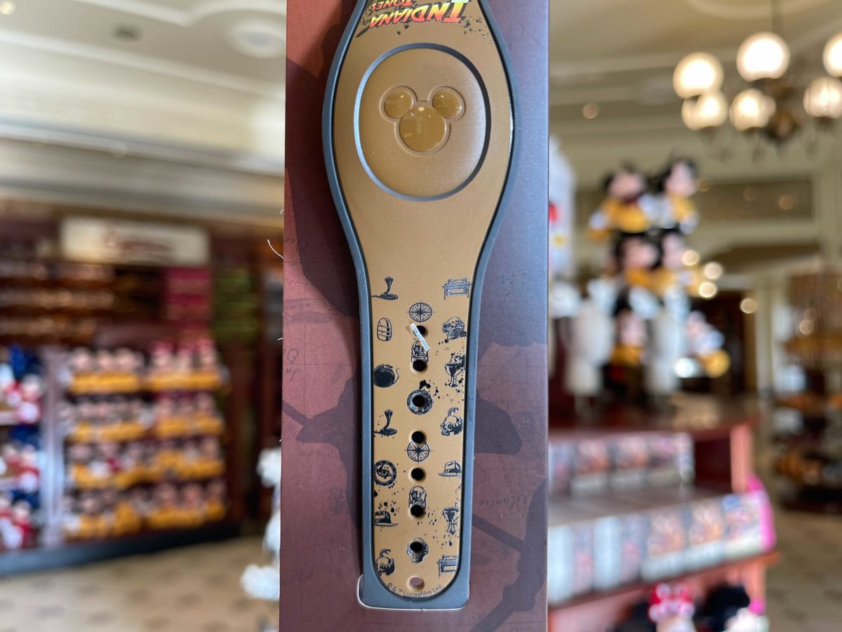 magicbands-4