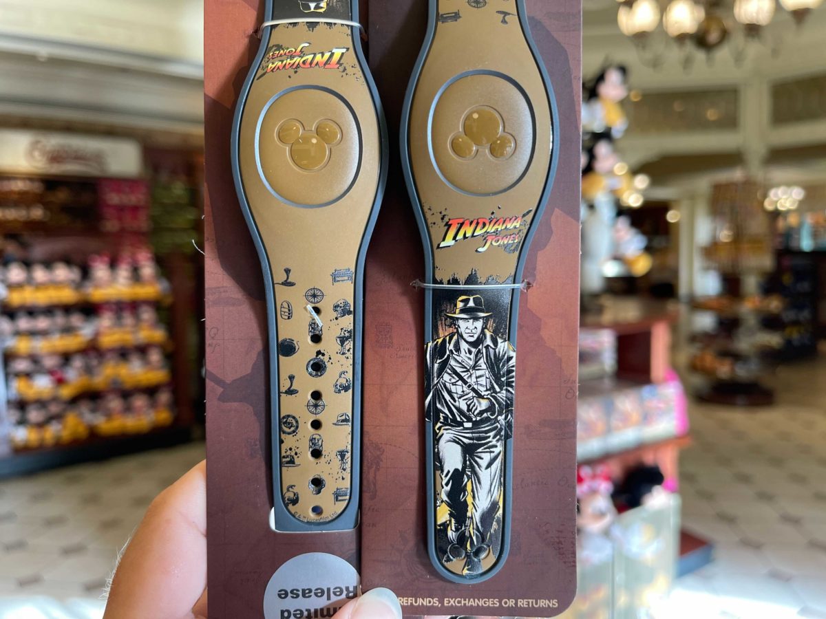 magicbands-5