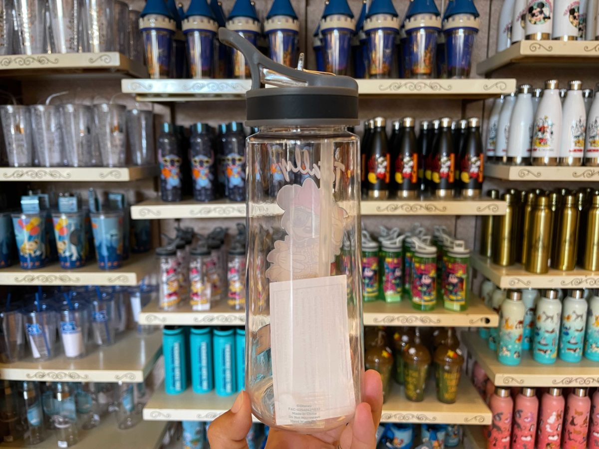 minnie-bottle-11